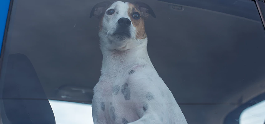 Car Lockout Solutions in Camp Pendleton South, California